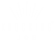 Career Club logo - Knockingbob.com